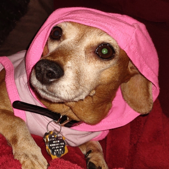 ⚡ MAKE OFFERS⚡ - Picture 4 of 7